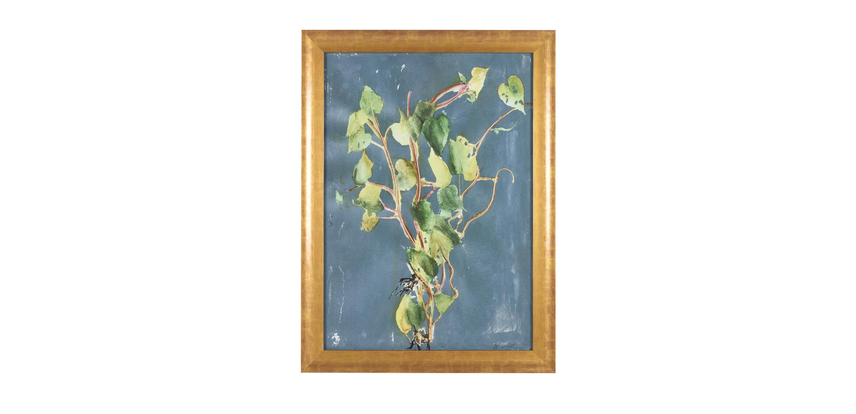 Vigorous Vine