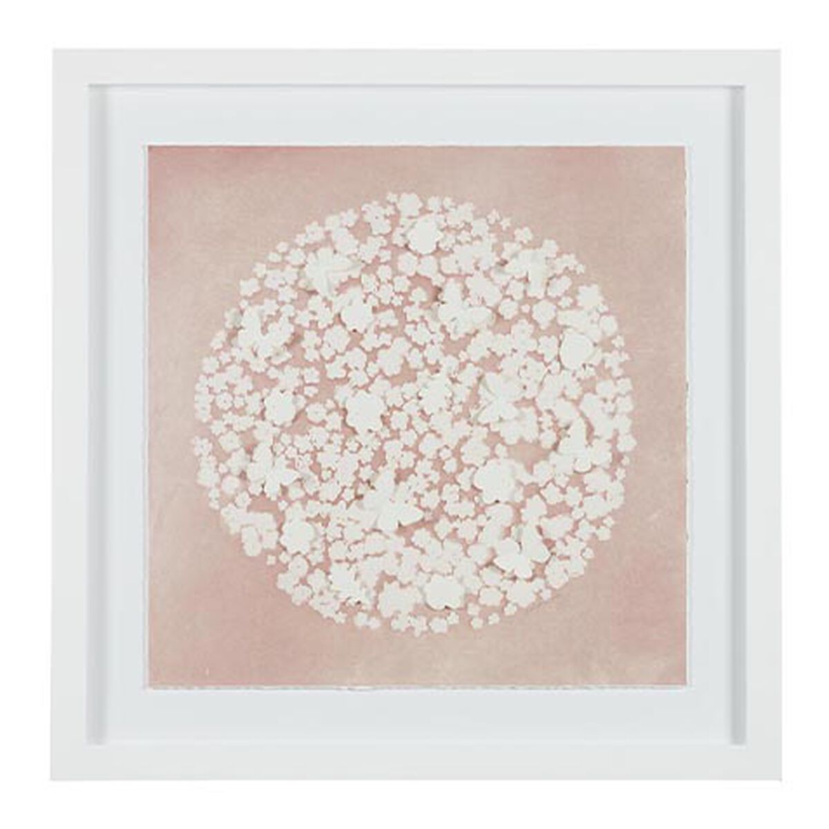 Daisy Dream V