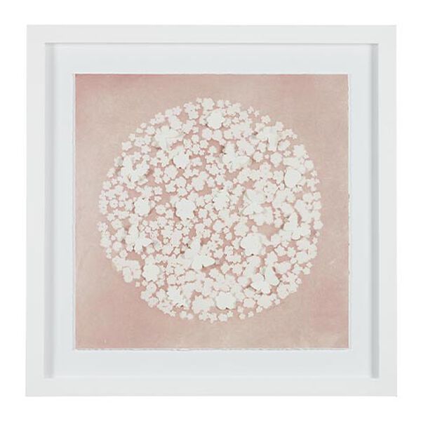 Daisy Dream V