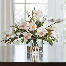 Magnolia Foliage Watergarden in Glass Cube Product Tile Hover Image 442204