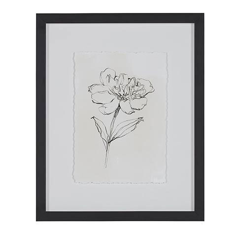 Floral Contour Study III image