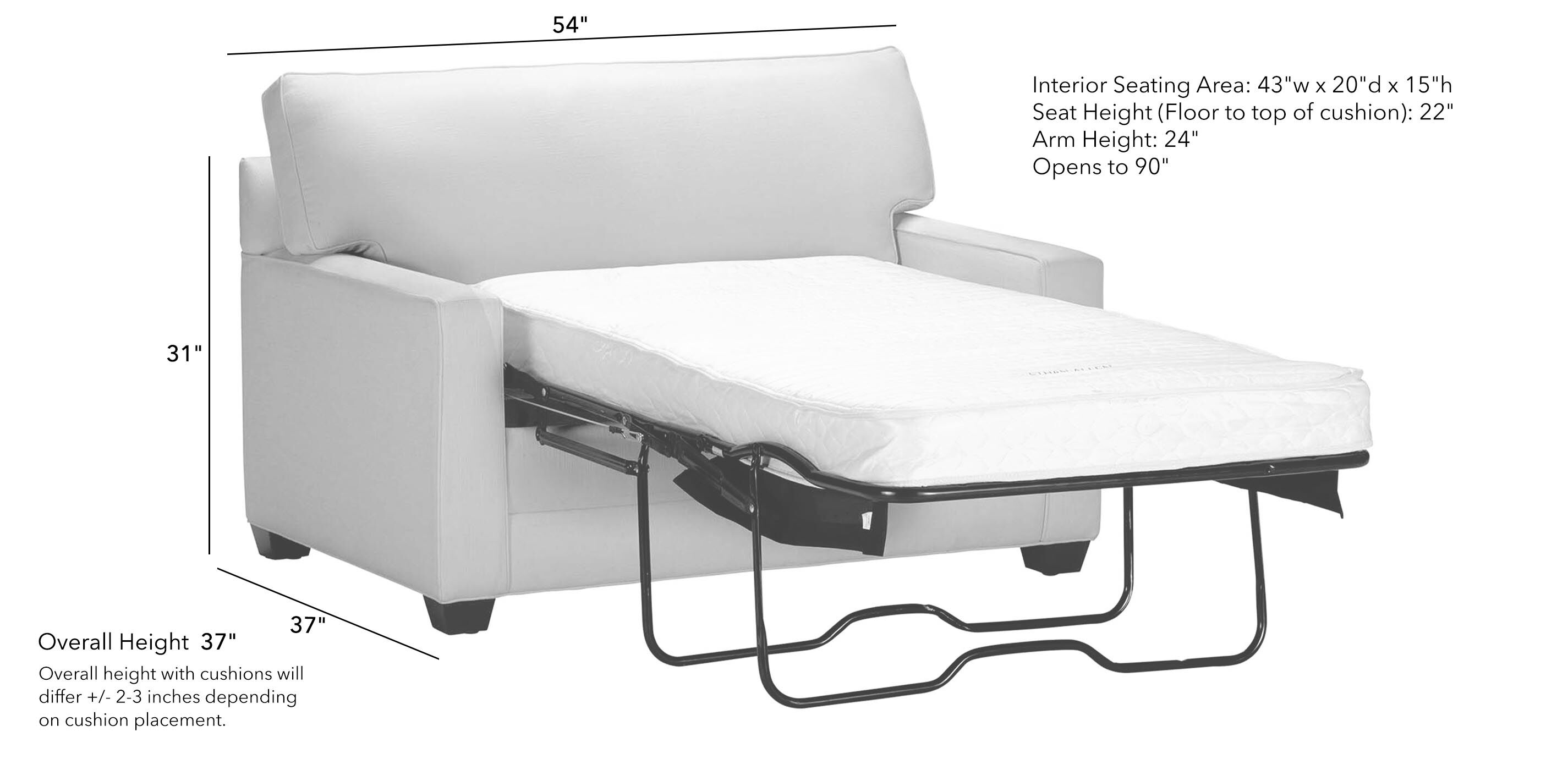 Chair And A Half Sleeper Sofa Azspringtrainingexperience