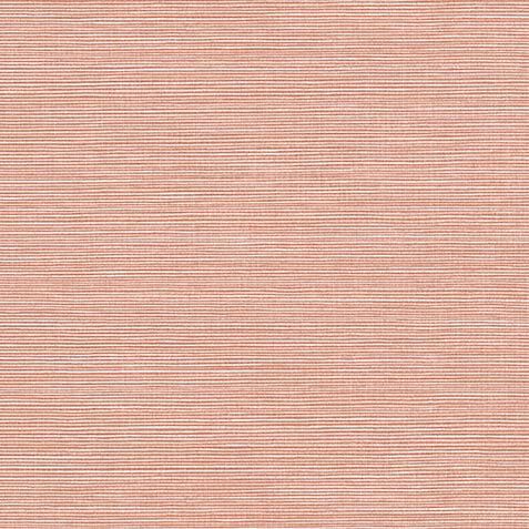 Quinton Wallpaper image