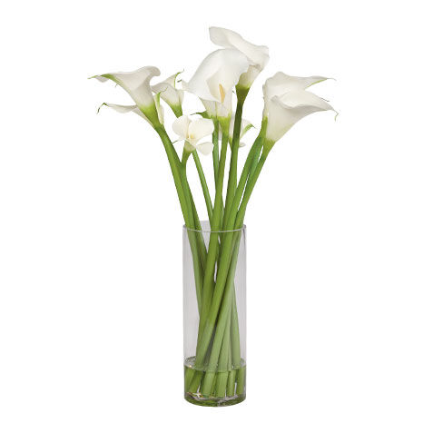 Calla Lily Tall Arrangement image