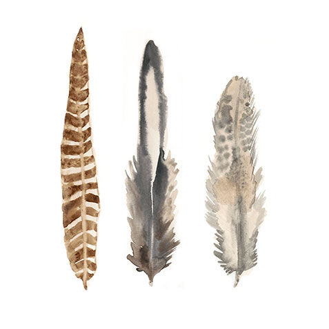 Watercolor Plumes I image