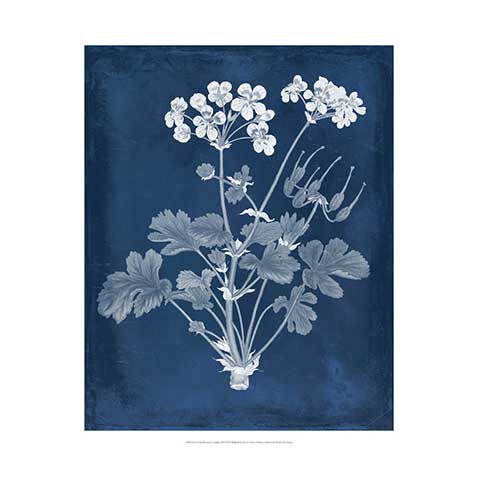 Botanical In Indigo III image