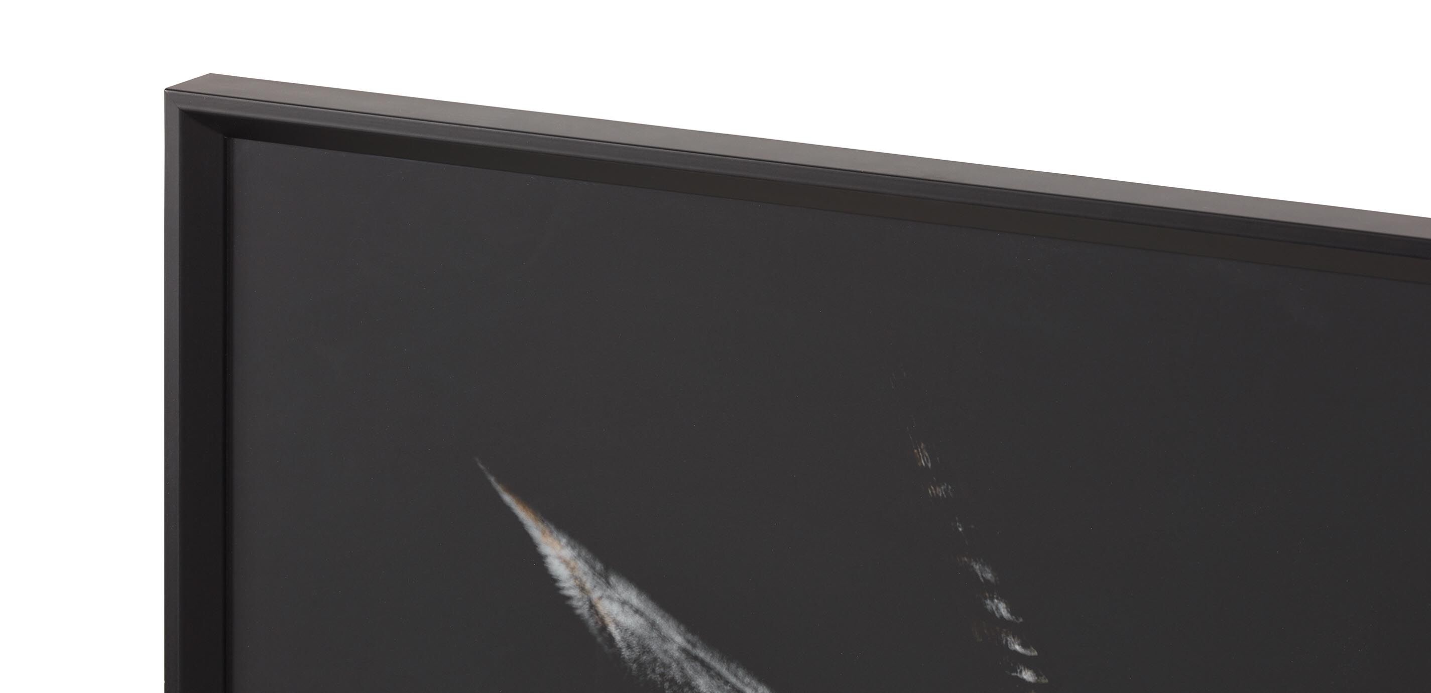 Strayed into Shadow VI_2