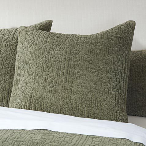 Garment-Dyed Velvet Euro Shams, Sage (set of 2) image 032019DPRGRN