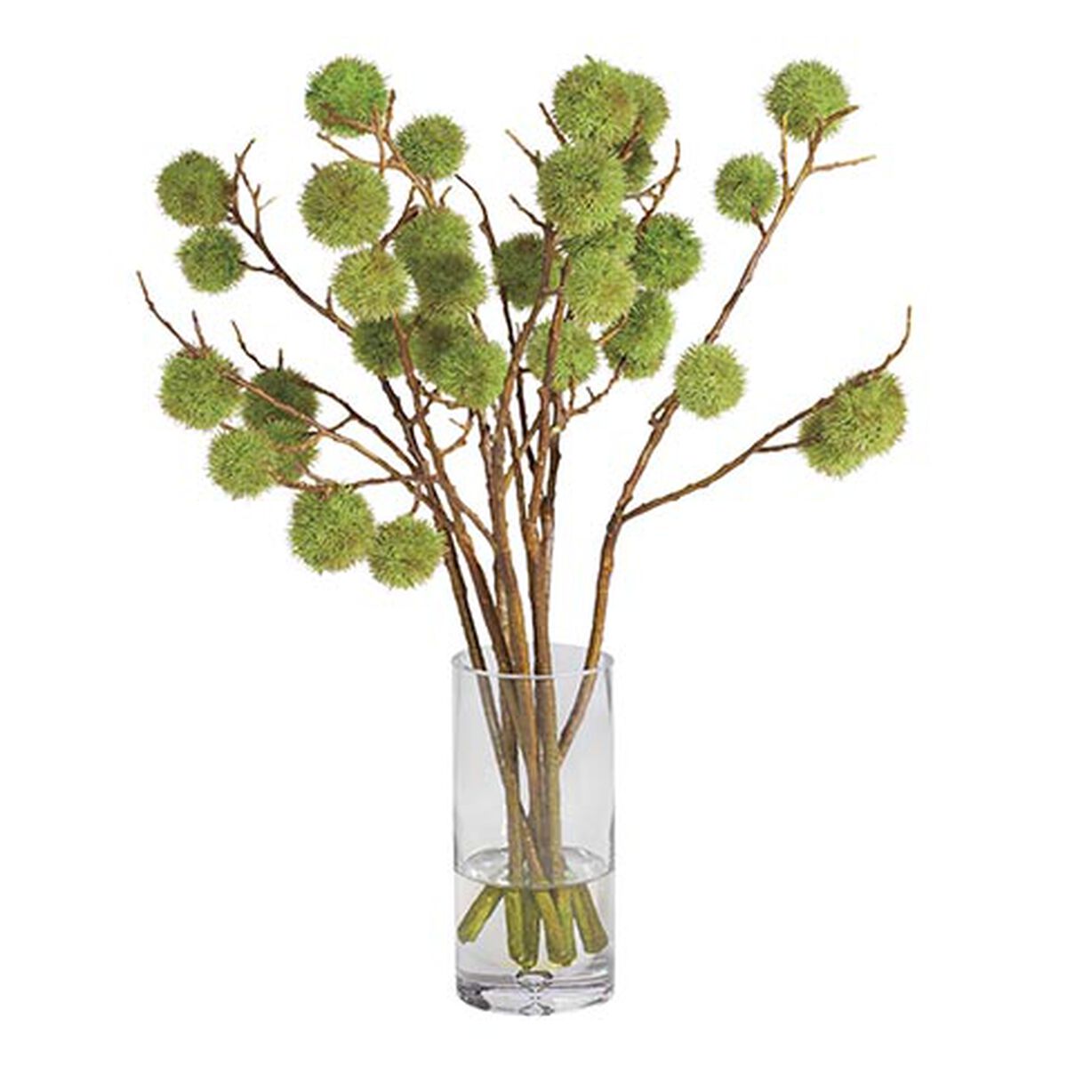 Chestnut Branch Arrangement in Tall Glass Vase
