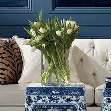 White Tulip Watergarden Product Tile Hover Image 446382A