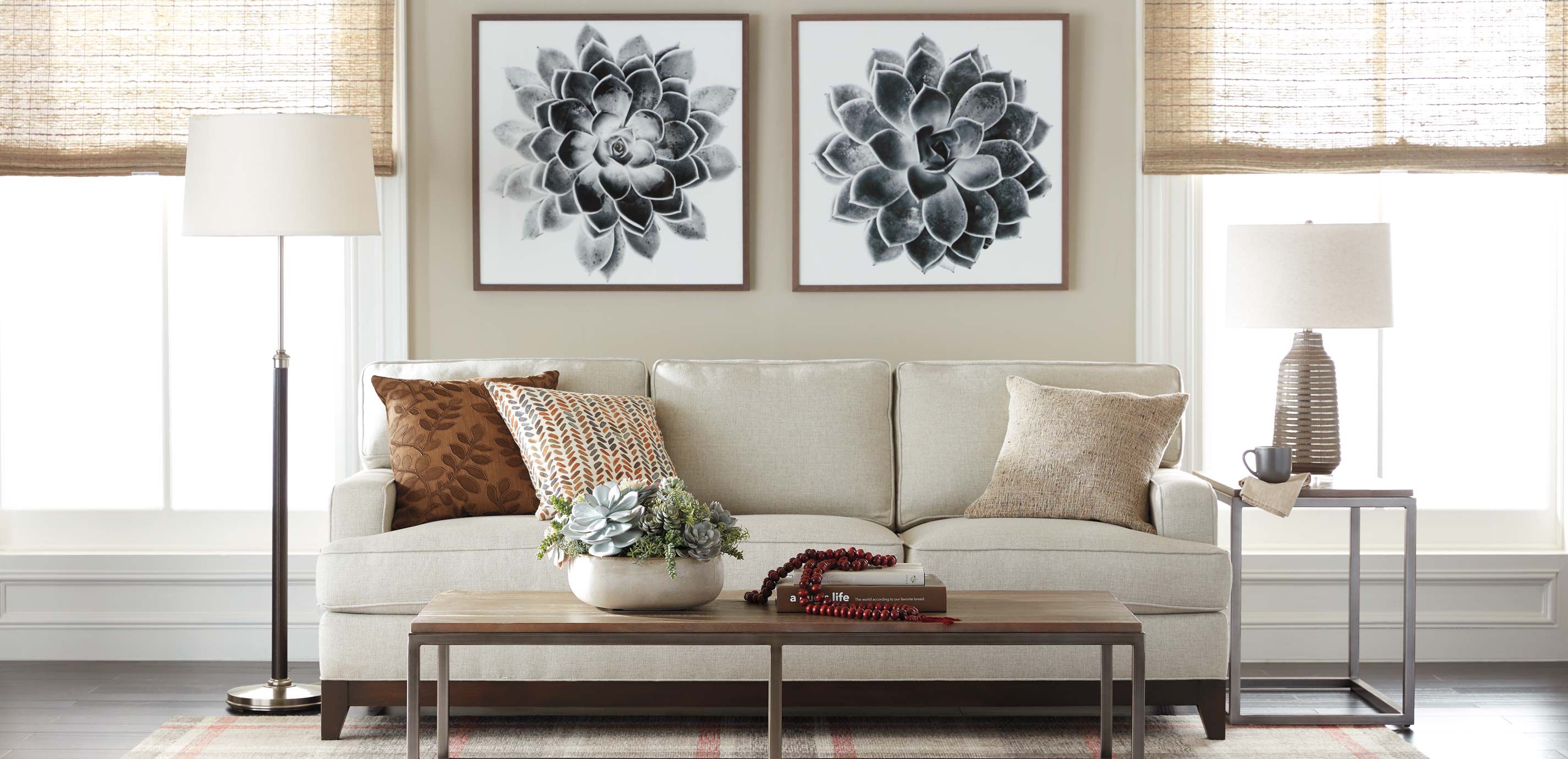 Succulent Study II_6