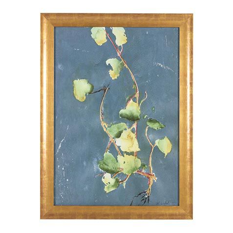 Vigorous Vine image 073273B
