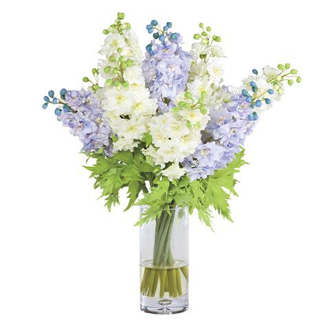Blue and White Delphinium Bouquet in Tall Vase image