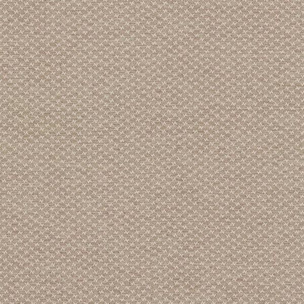 Lure Fabric