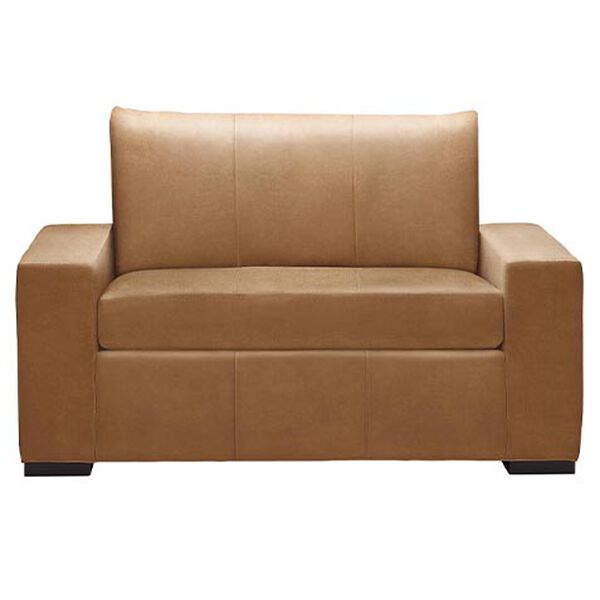 Conway Leather Sleeper Sofa
