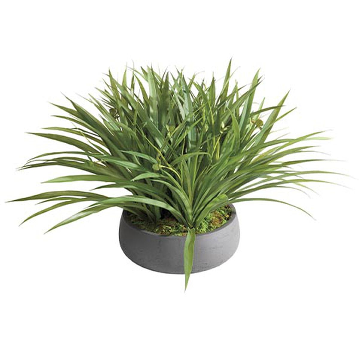 Grass Arrangement in Black Pot