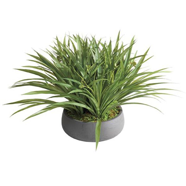 Grass Arrangement in Black Pot