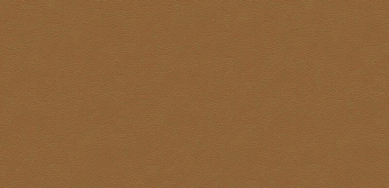 camel leather paint