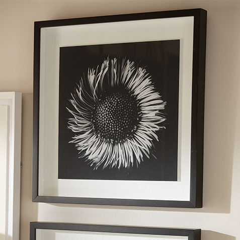 Black Botanical II Product Tile Hover Image 073104B