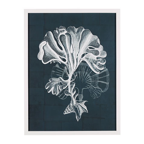 Nautical Coral I image