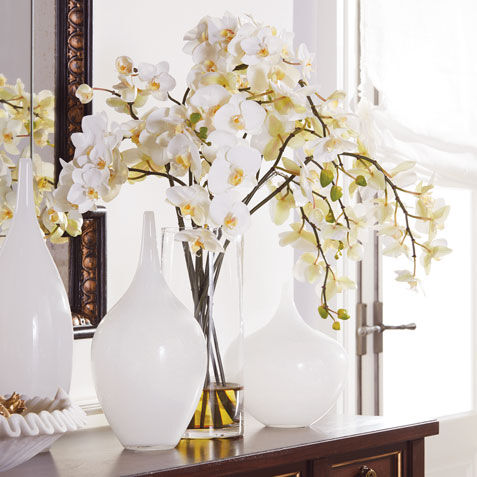 Orchids in Tall Glass Vase Product Tile Hover Image 446376