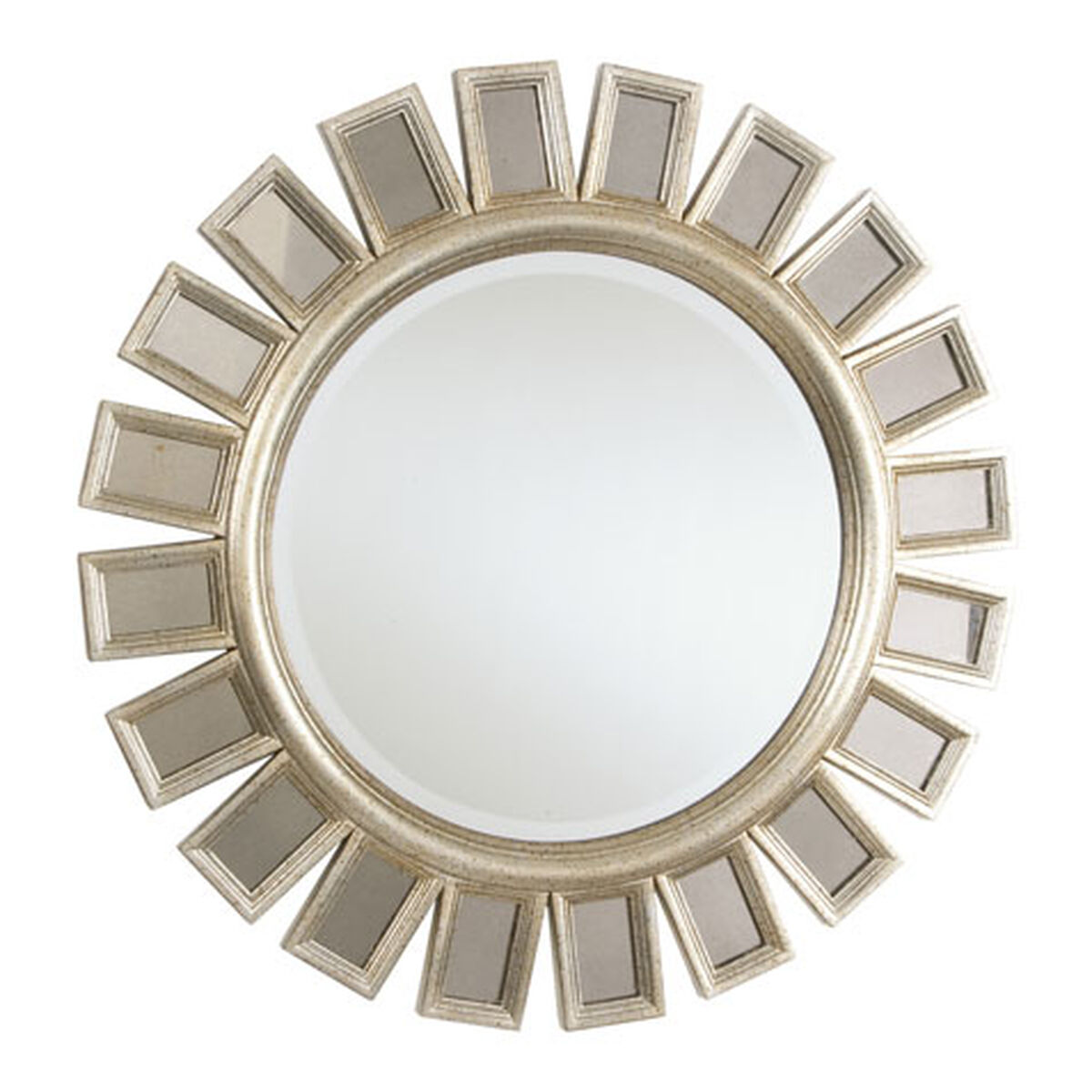 Multi-Paned Mirror