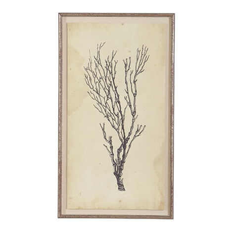 Framed Coastal Art | Framed Coastal Wall Décor | Ethan Allen