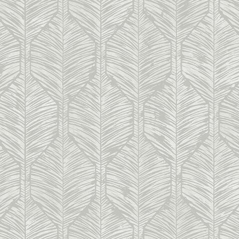 Calvin Wallpaper image