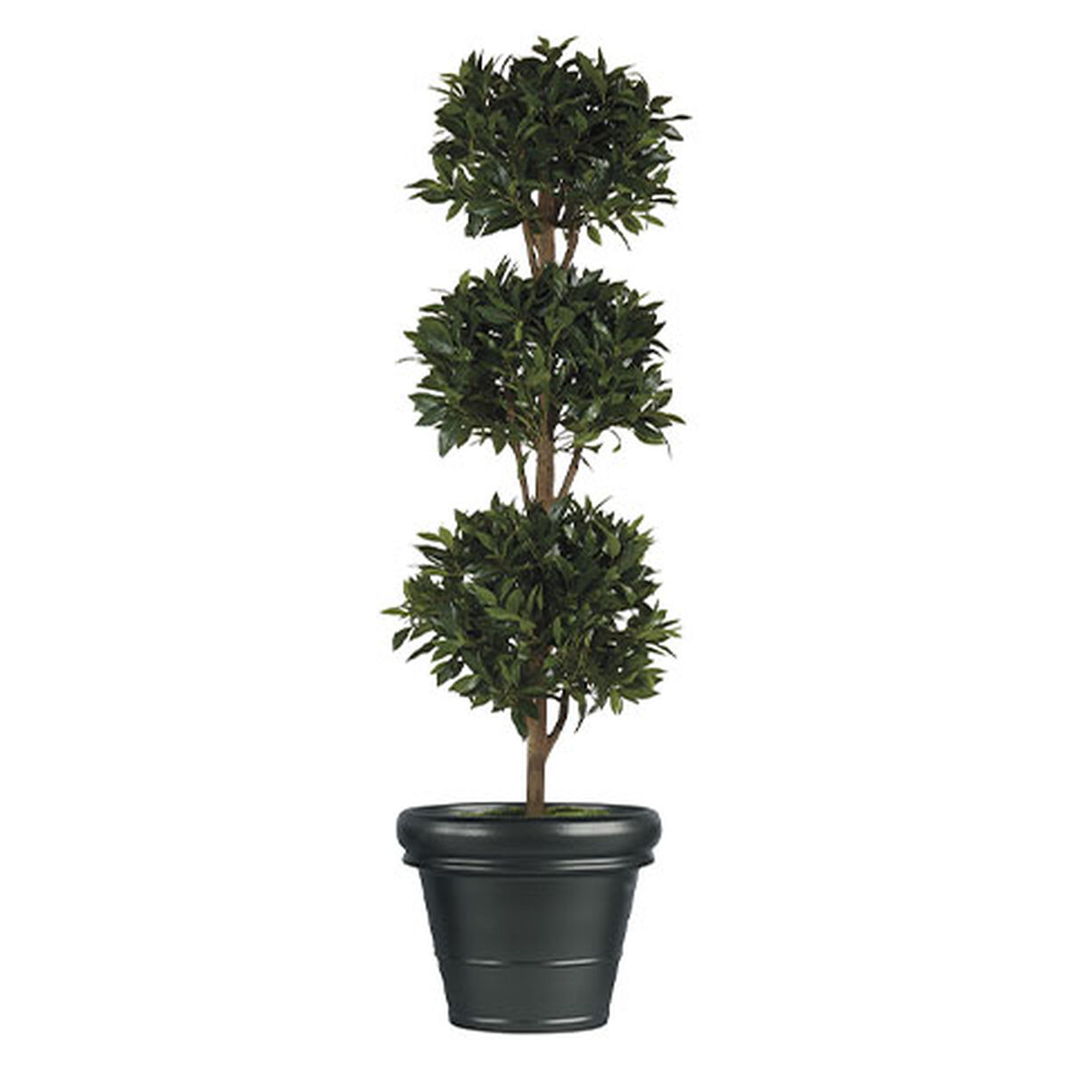 Bayleaf Ball Topiary