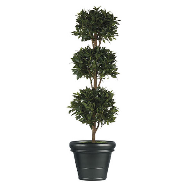 Bayleaf Ball Topiary