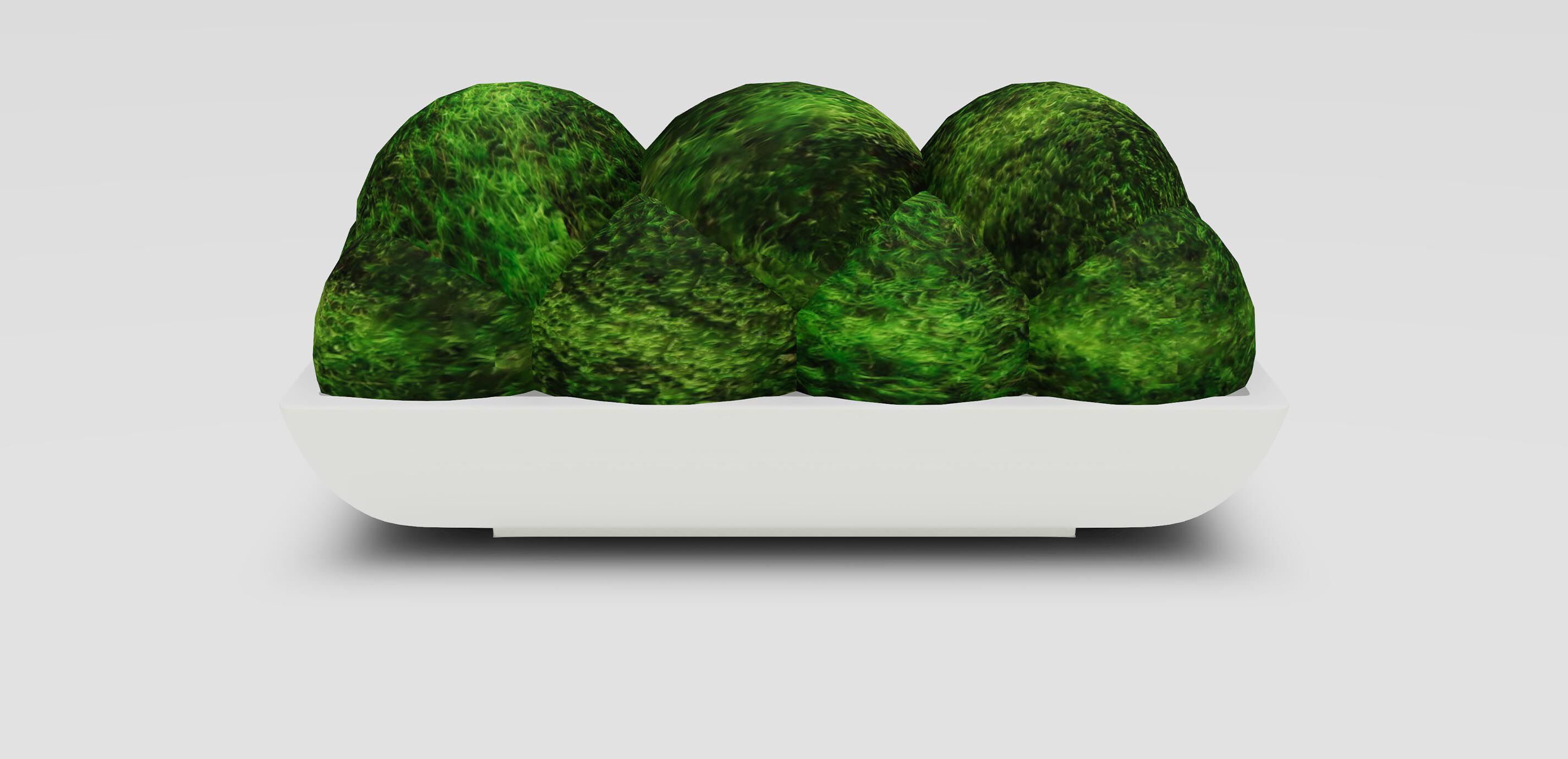 Moss in Linear White Bowl 1