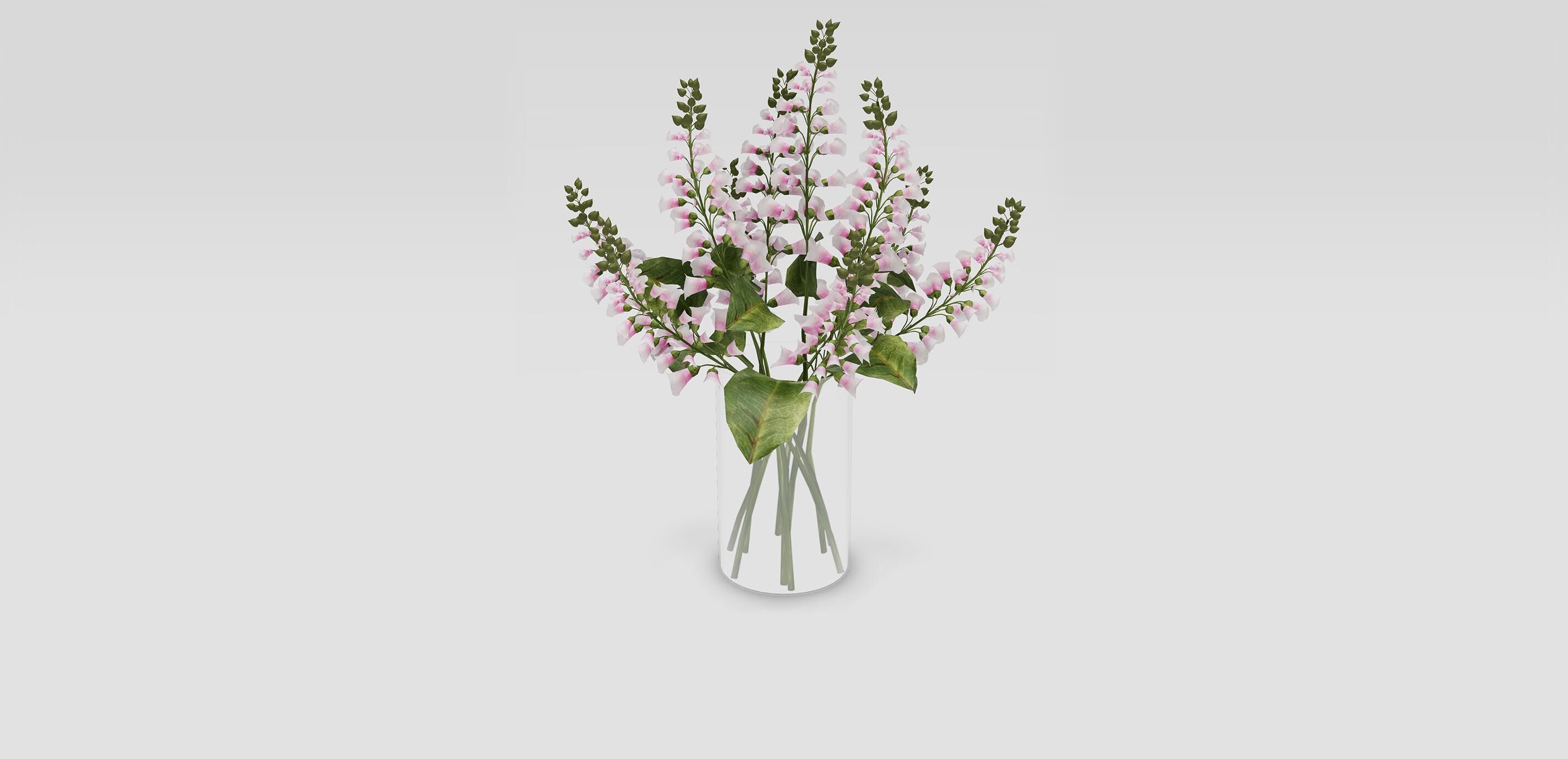 Foxglove Watergarden 1