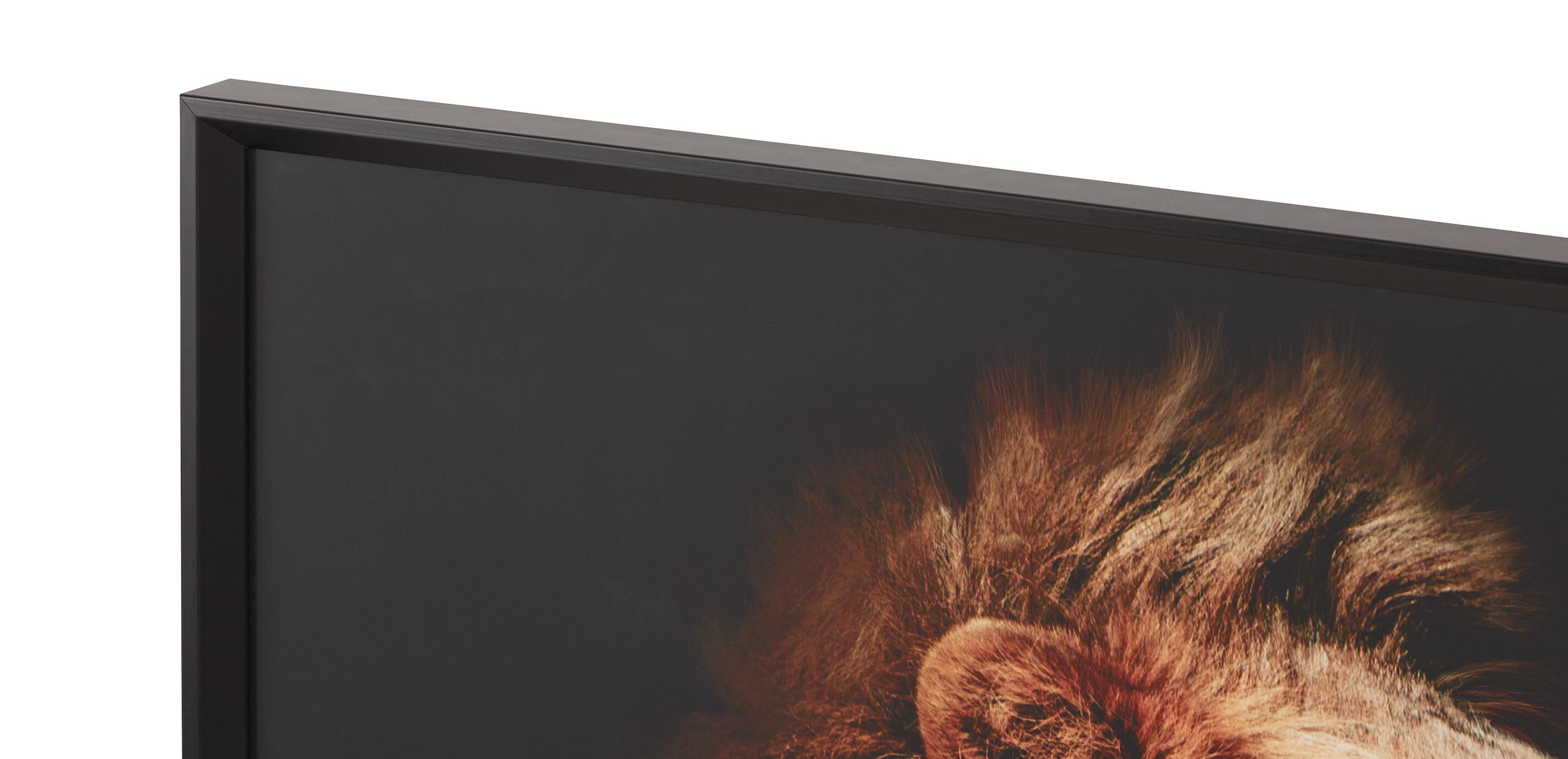 Strayed into Shadow V_2