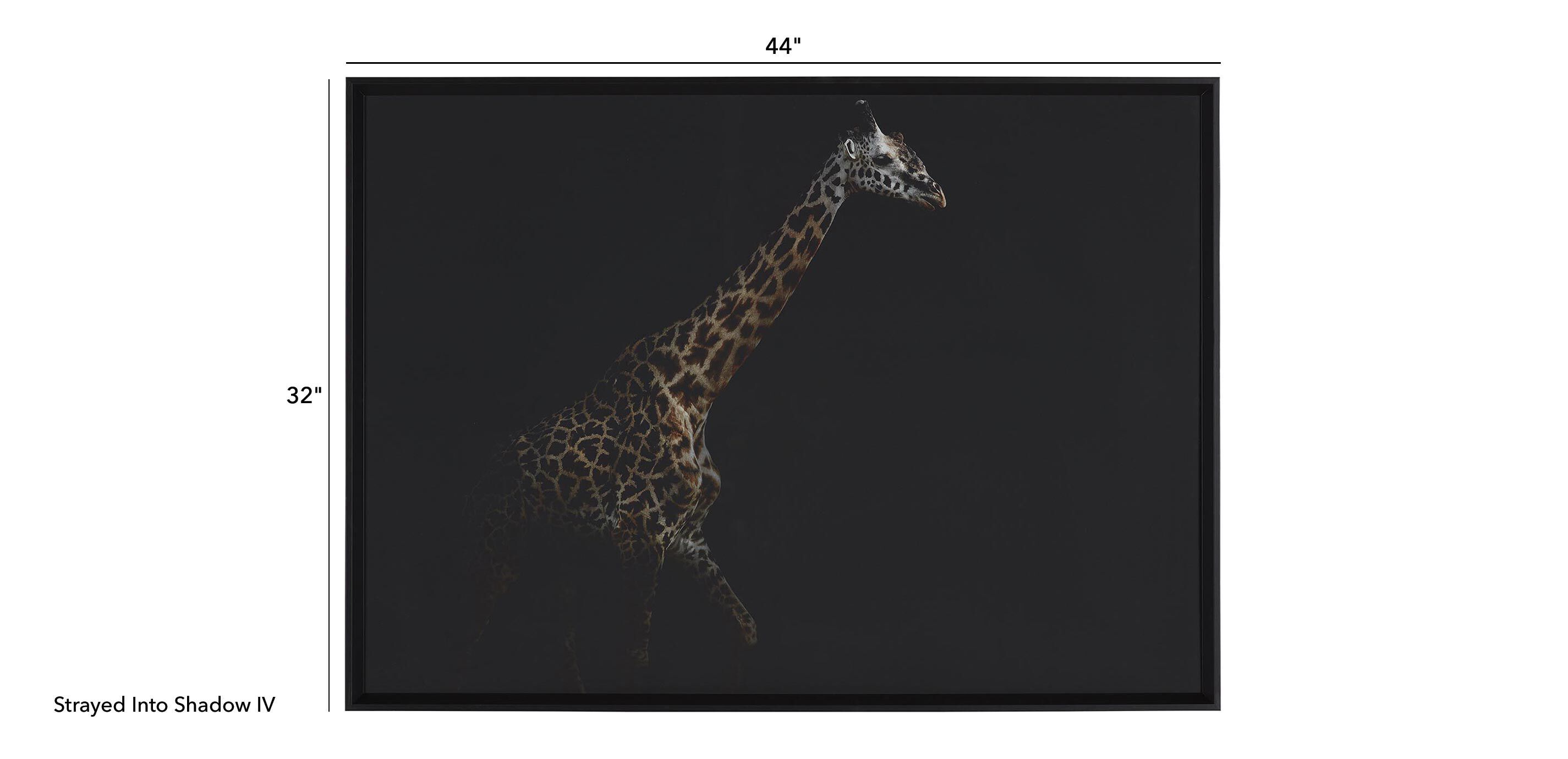 Strayed into Shadow IV_1