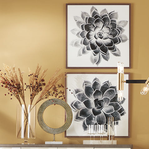 Succulent Study II Product Tile Hover Image 073124B