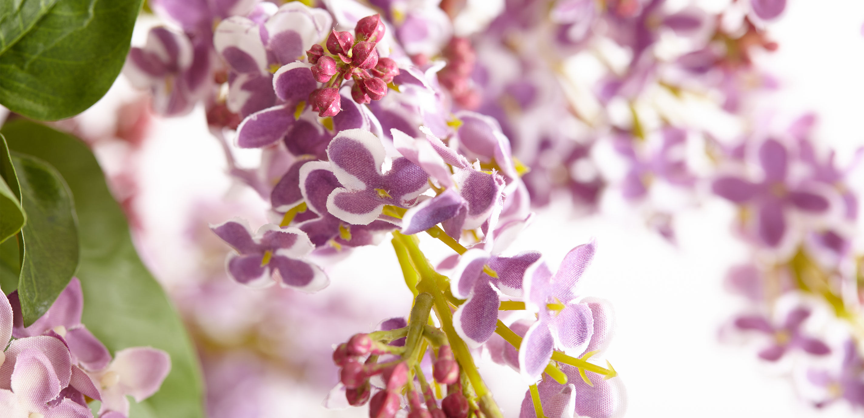 Lilac Branches Watergarden_1