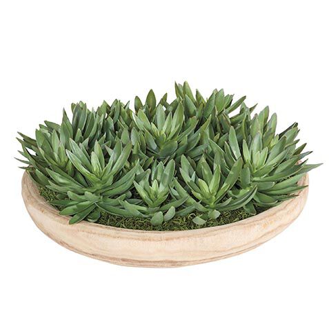 Succulent Centerpiece in natural wood bowl image