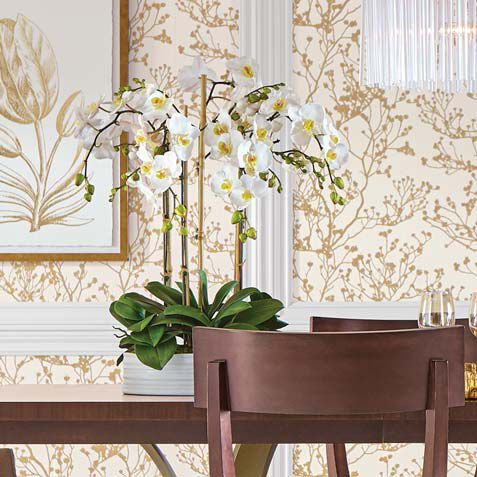 Phalaenopsis in Ceramic Bowl Product Tile Hover Image 444556