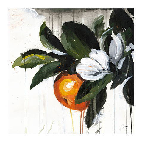 Cream Tangerine image