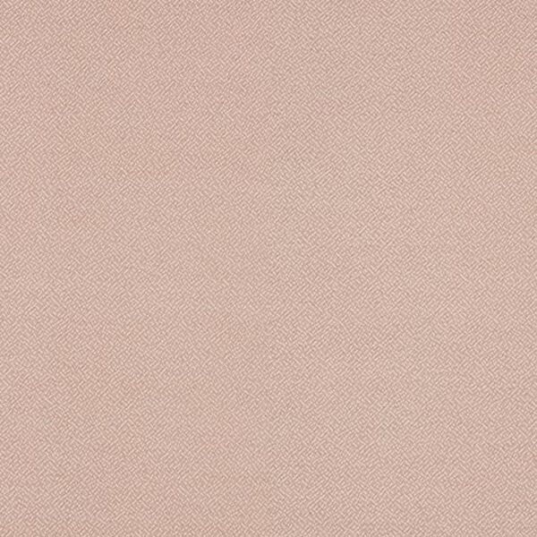 Desi Fabric