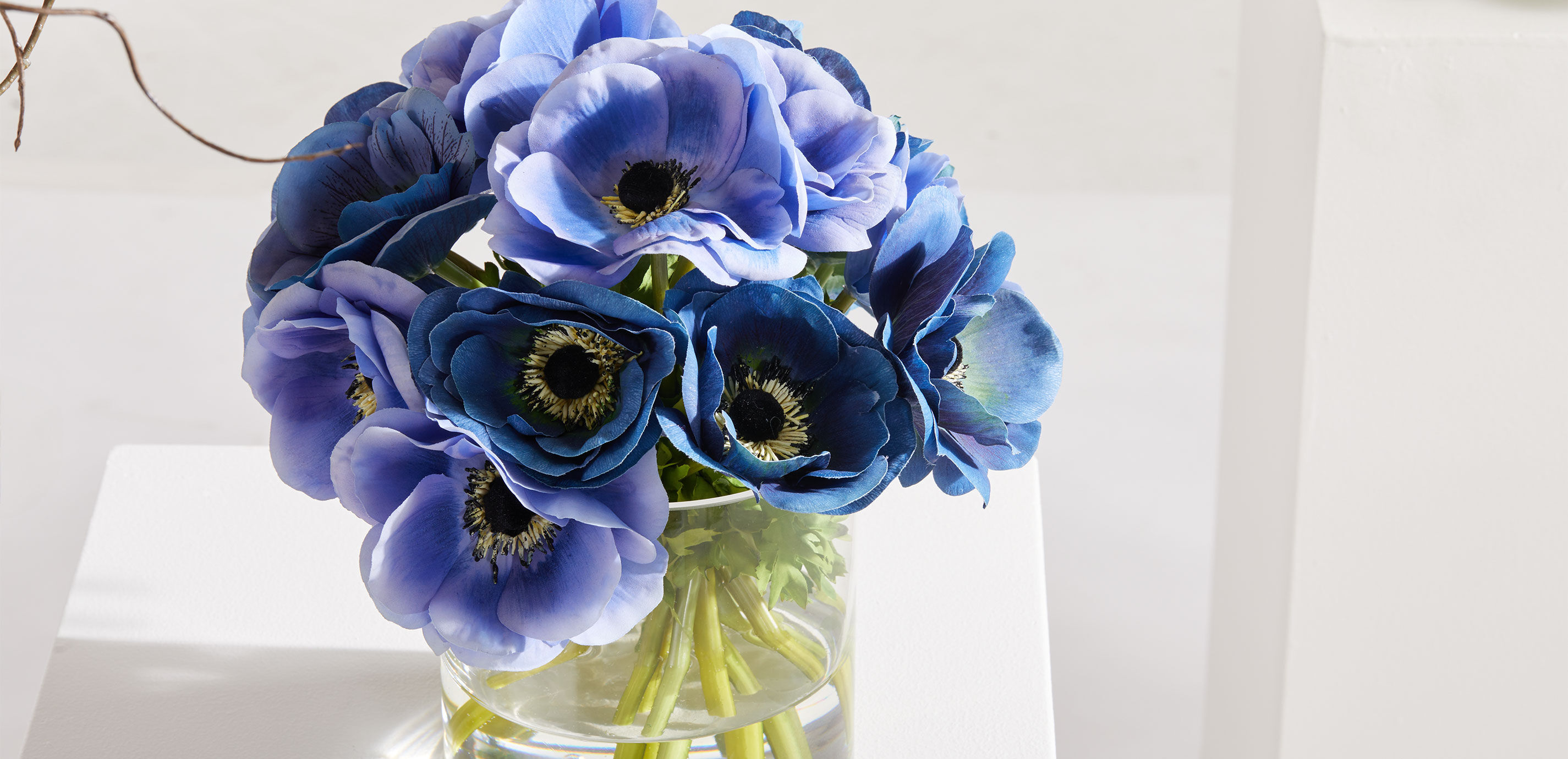 Deep Blue Anemone Bouquet in Cylinder Vase_4