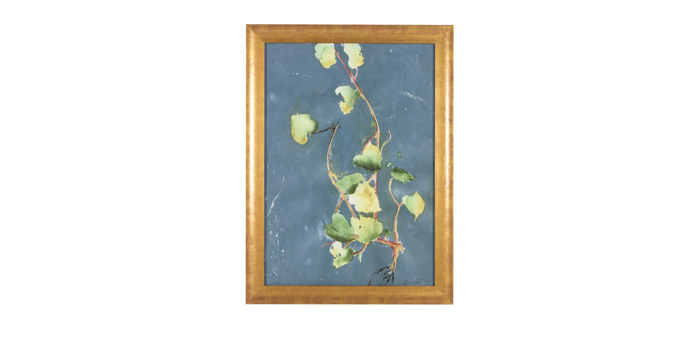 Vigorous Vine