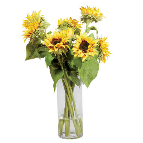 Sunflowers in Tall Vase image