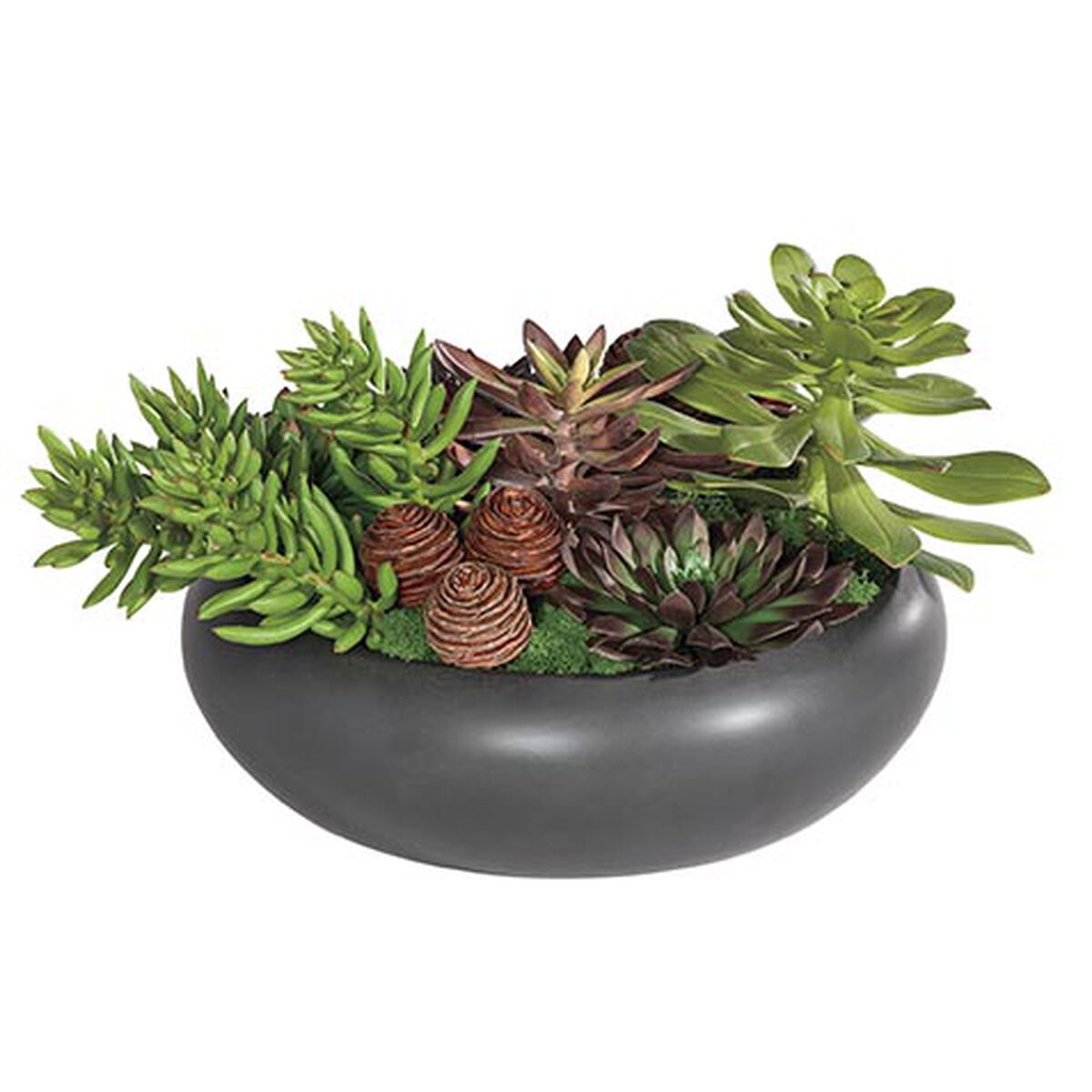 Dark Succulent Centerpiece in Black Bowl