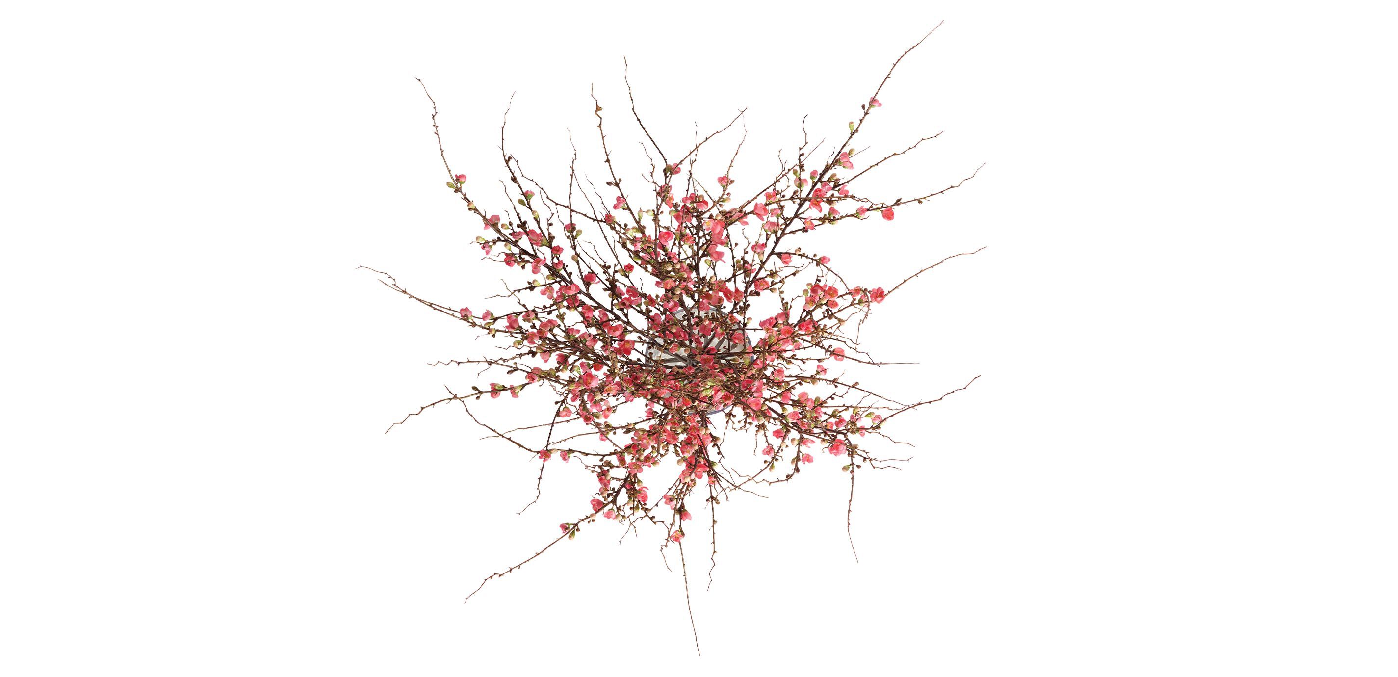 Dark Peach Blossom Arrangement in Glass Vase_3