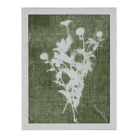 Sage Silhouette II image