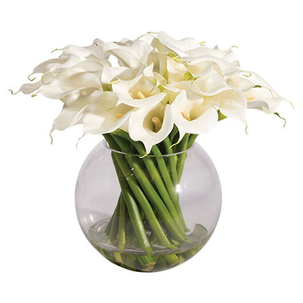 Calla Lilies in Vase
