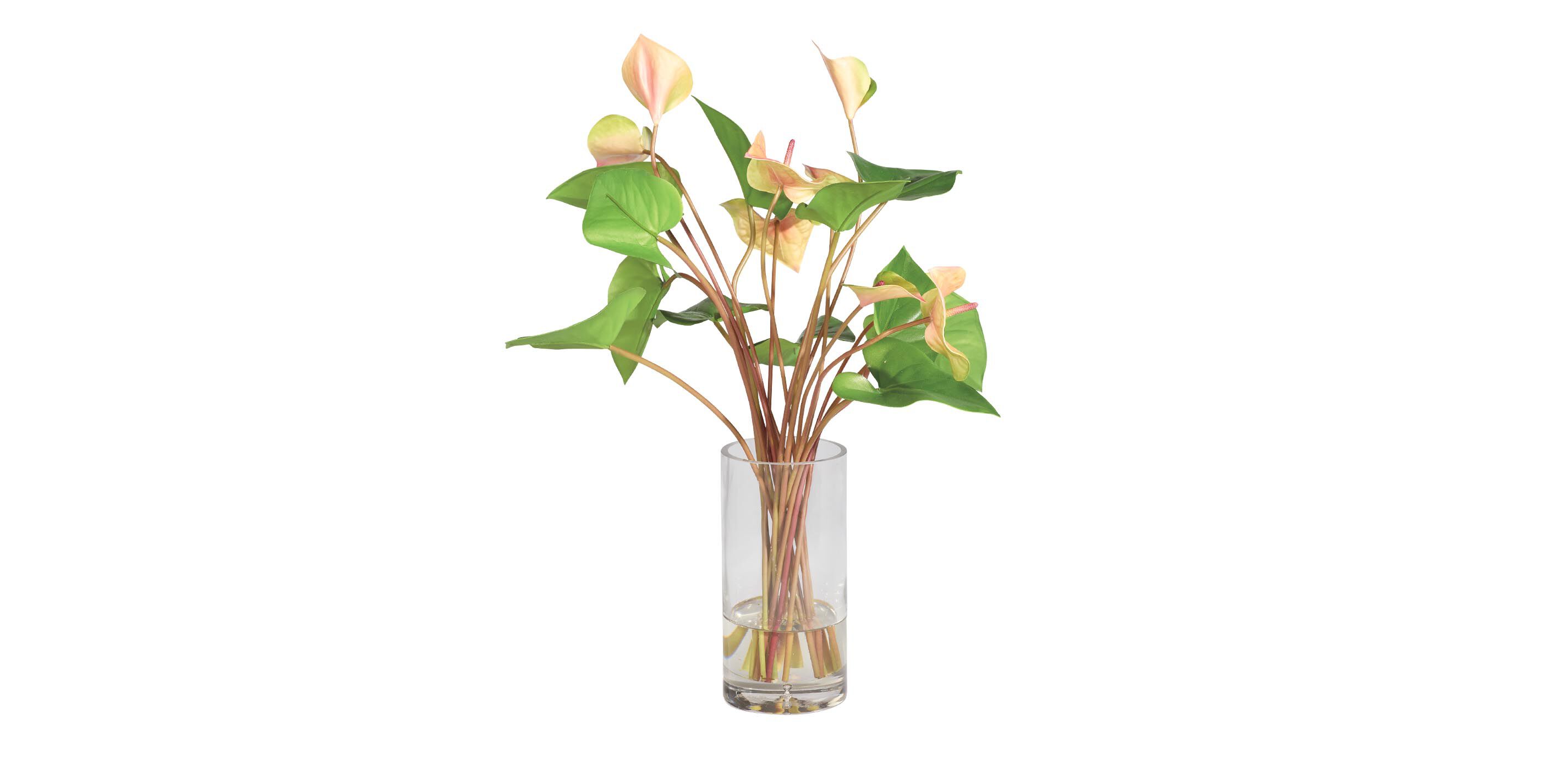 Tropical Anthurium Bouquet in Glass Vase_2