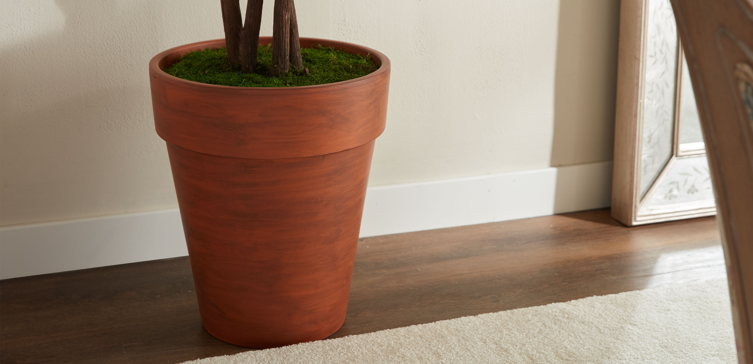Smilax Tree in Terracotta Pot_3