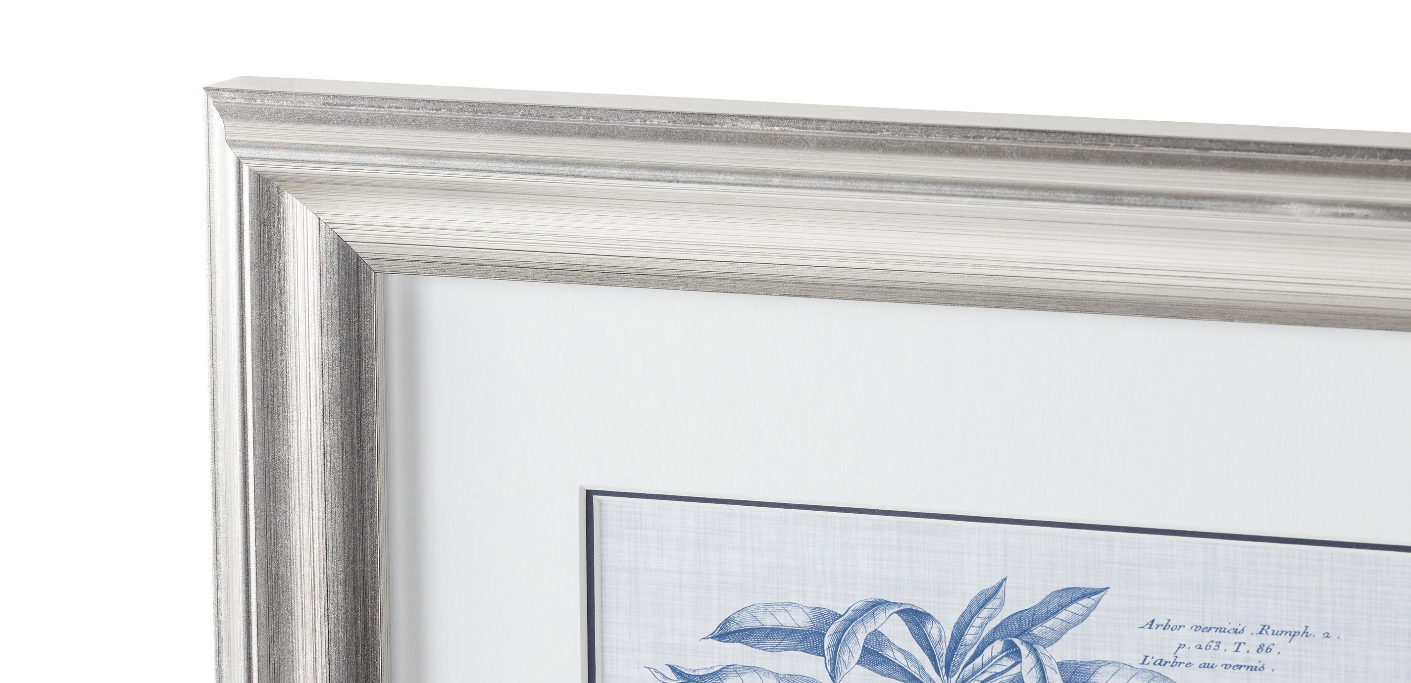 Navy and Linen Botanical V_1